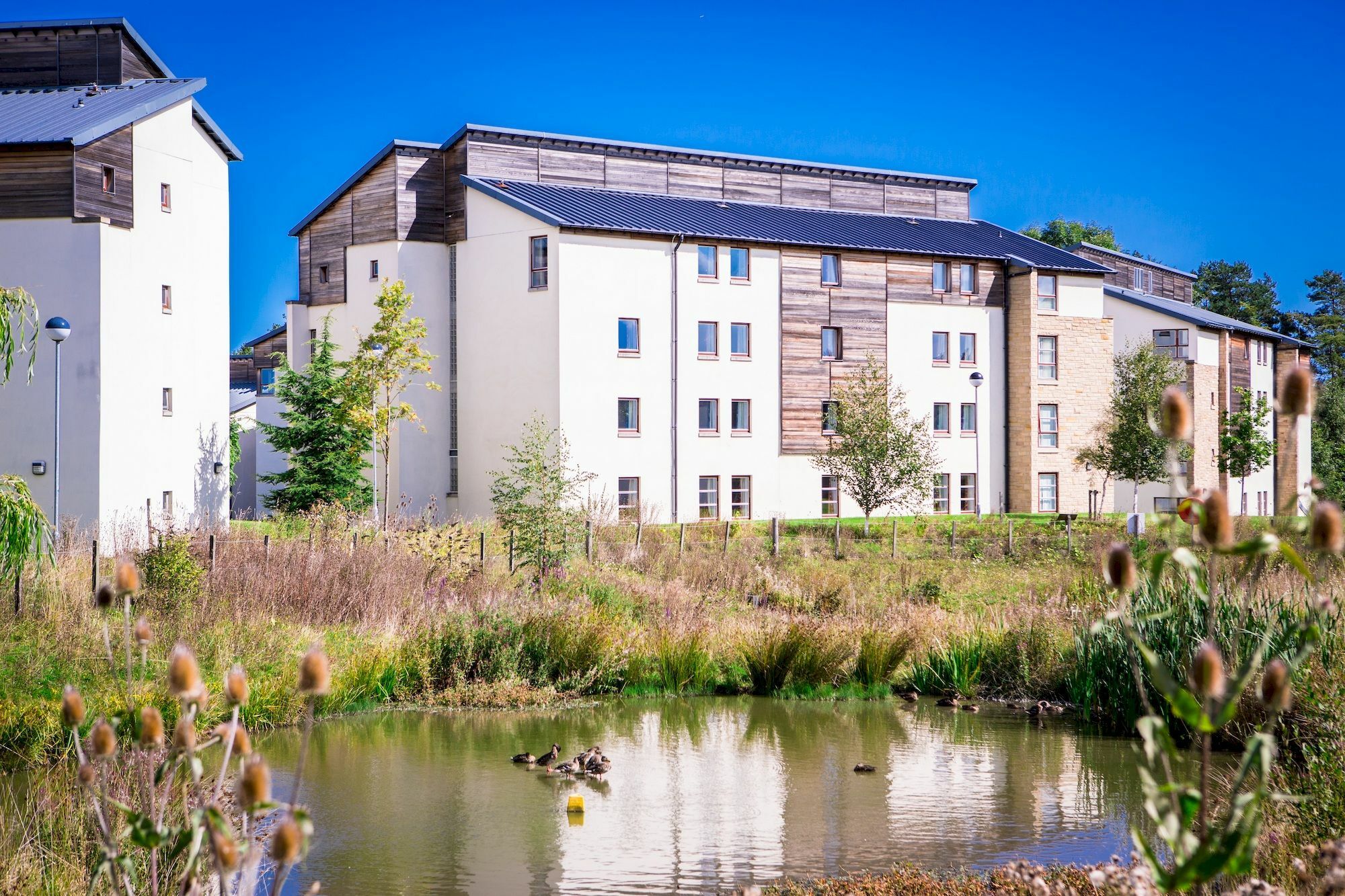 David Russell Apartments - Campus Accommodation St Andrews Exterior foto